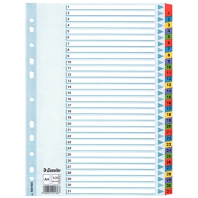 Faneblade - Esselte Mylar A4 1-31 Multicolour 10 stk