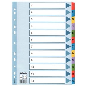 Faneblade - Esselte Mylar A4 1-12 Multicolour 10 stk