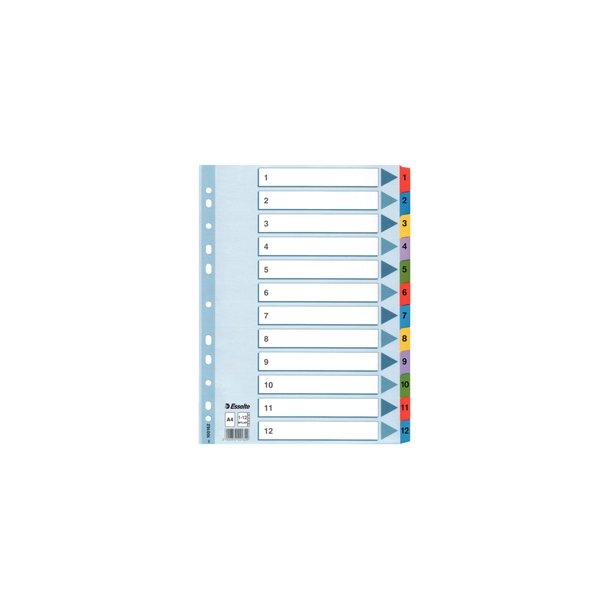 Faneblade - Esselte Mylar A4 1-12 Multicolour 10 stk