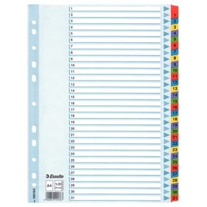 Faneblade - Esselte Mylar A4 1-31 Multicolour 10 stk
