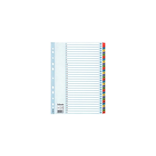 Faneblade - Esselte Mylar A4 1-31 Multicolour 10 stk