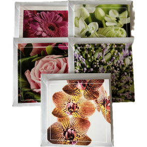 Kort m/kuvert blandet 8 * 8 cm. 10 stk.