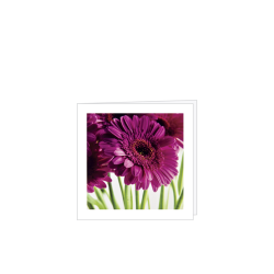 Kort m/kuvert blandet 8 * 8 cm. 10 stk.